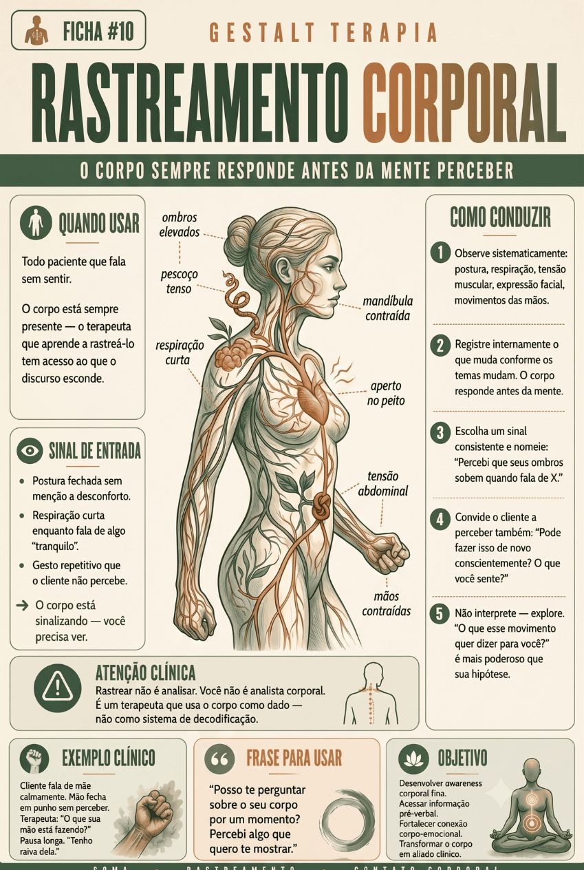 Exemplo de ficha técnica 5 do material Gestalt Clínico Aplicado